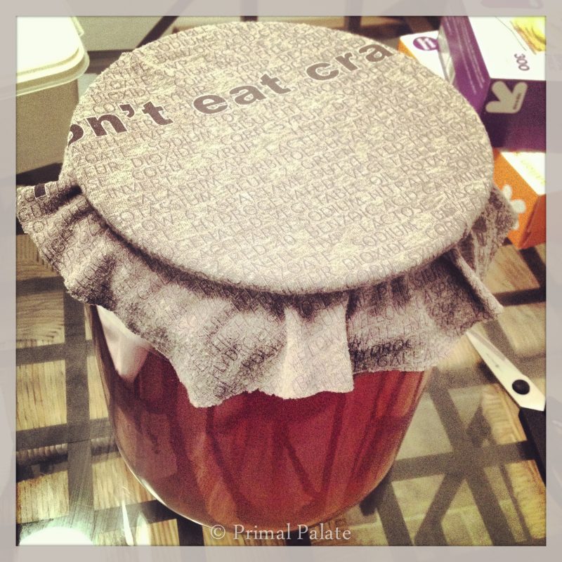 Gingerberry Kombucha Primal Palate Paleo Recipes