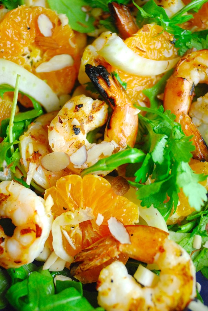 Grilled Shrimp, Citrus and Fennel Salad Primal Palate Paleo Recipes