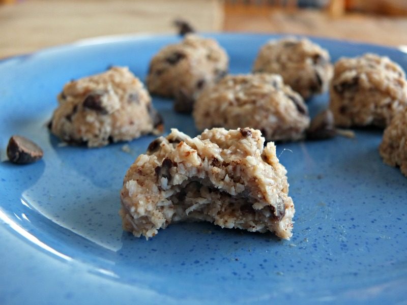 No-Bake Chocolate Chip Cookie Bites - Primal Palate ...