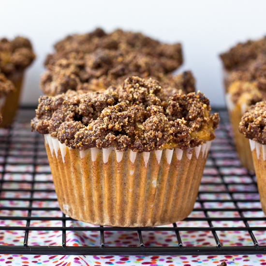 Rhubarb Coffee Cake Muffins - Primal Palate | Paleo Recipes