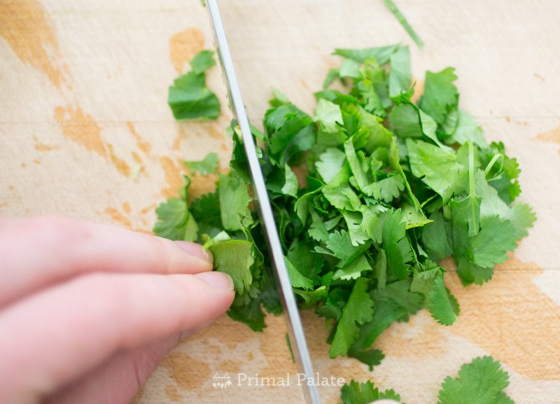 Cilantro Lime Skirt Steak Primal Palate Paleo Recipes