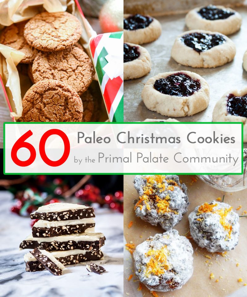 60 Paleo Christmas Cookie Recipes - Primal Palate | Paleo ...
