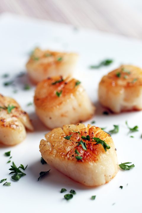 Pan-Seared Scallops | Primal Palate | Paleo Recipes-image