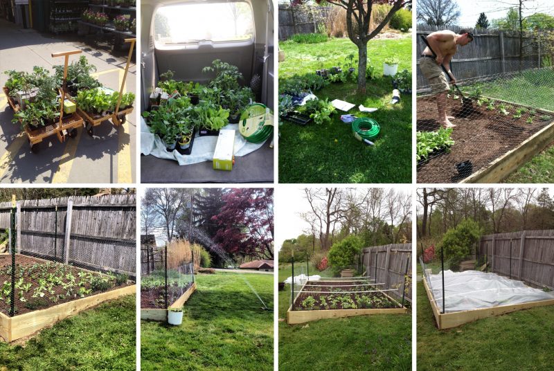 How to Build Raised Garden Beds (on a slope!) - Primal Palate