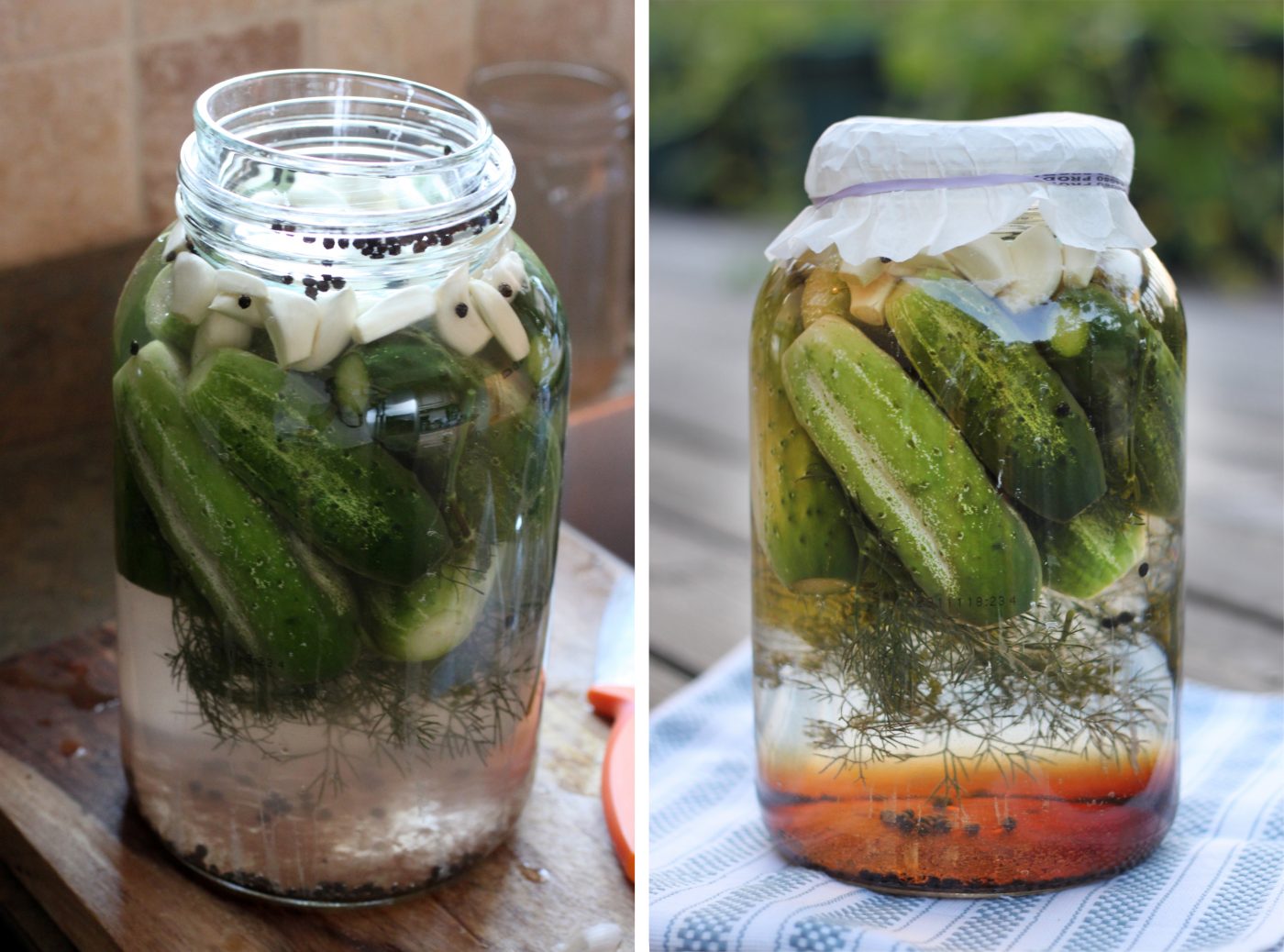 Fermented Dill Pickles Primal Palate Paleo Recipes