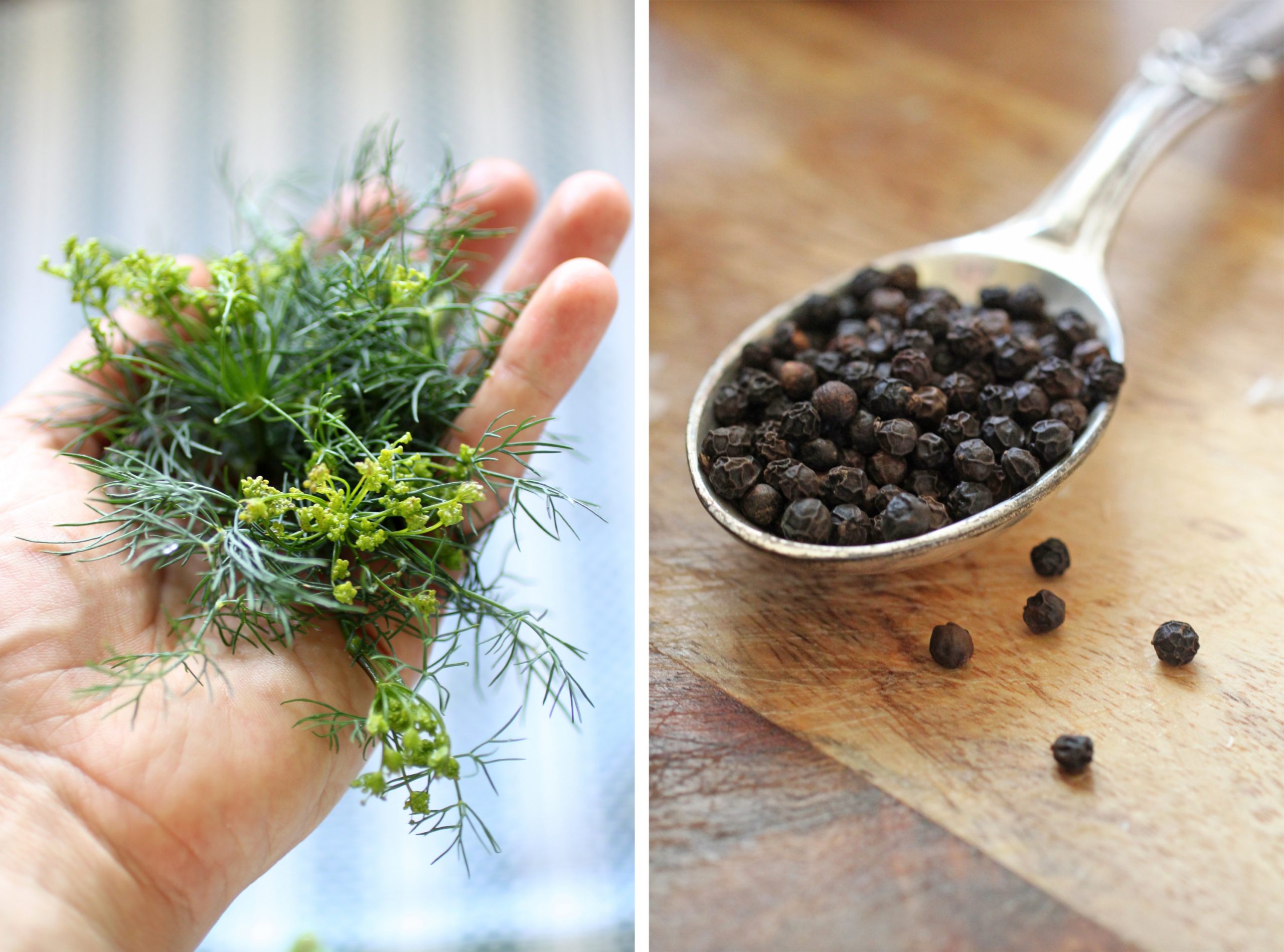 dill and garlic Primal Palate Paleo Recipes