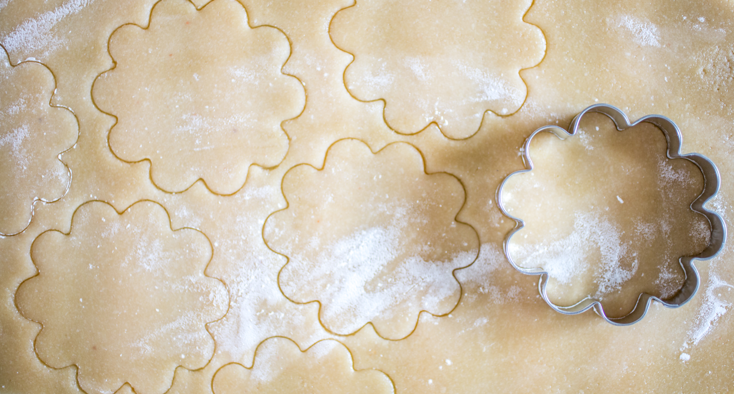 circular cookie cutter dough Primal Palate Paleo Recipes