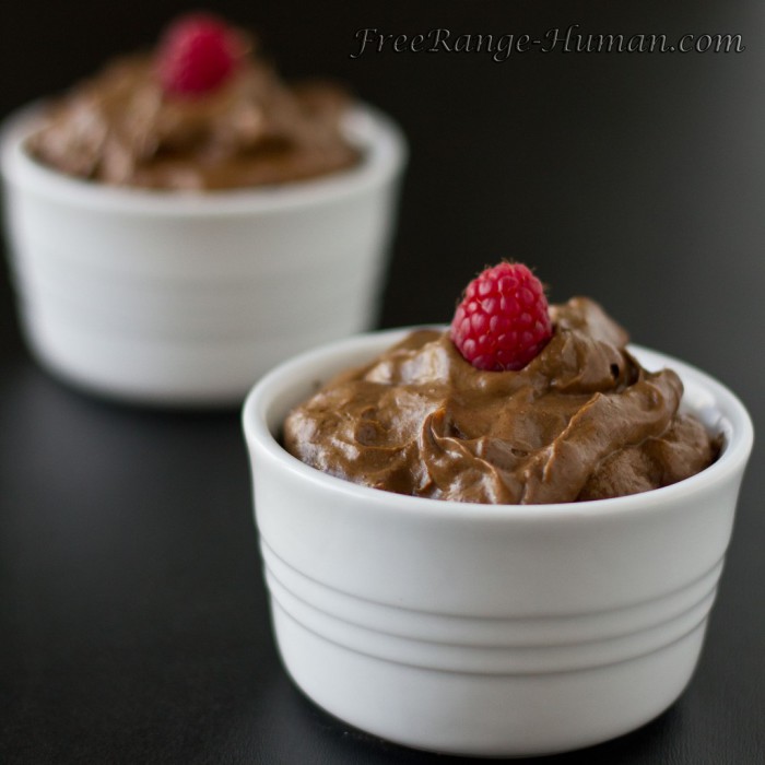 AvocadoChocolateMousse-1024x1024