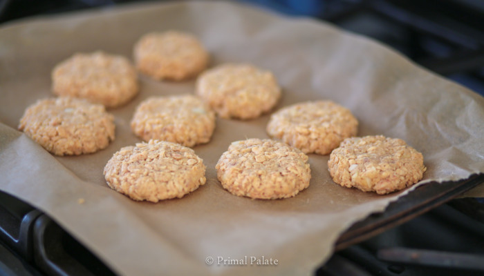 Paleo Salmon Cakes-1