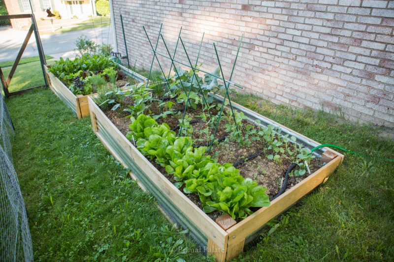Side garden bed