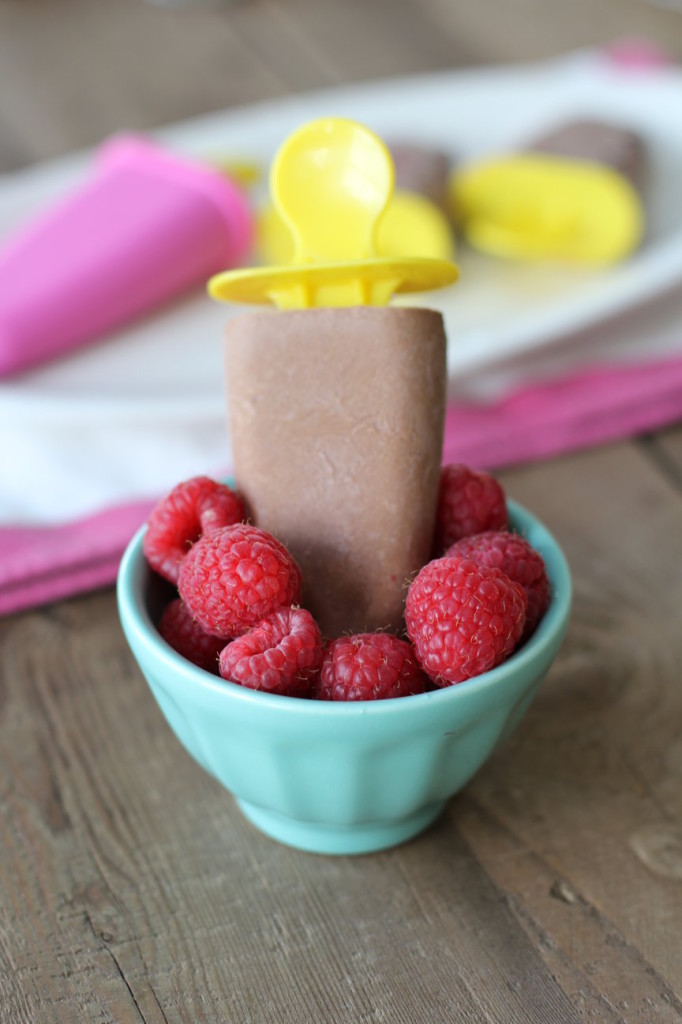 Paleo Fudgesicle