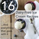 16 dairy free ice cream recipes