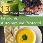 AIP friendly Paleo recipes