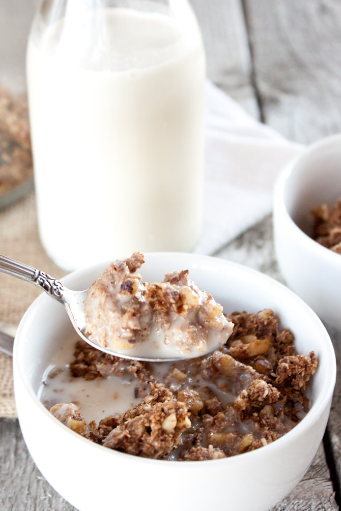 Apple Spice Granola