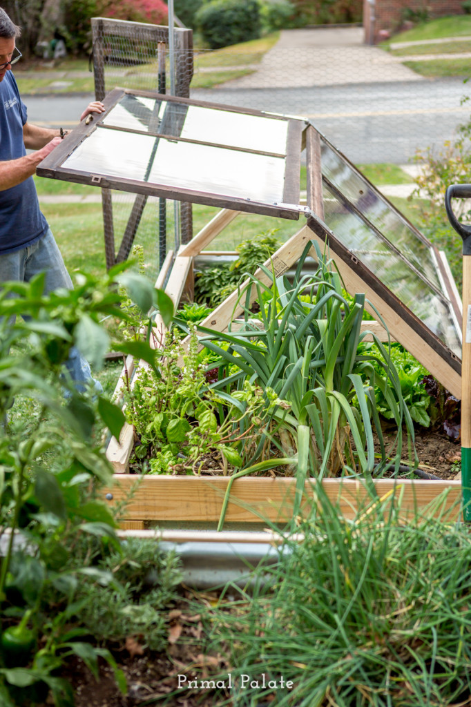 how to build a coldframe garden