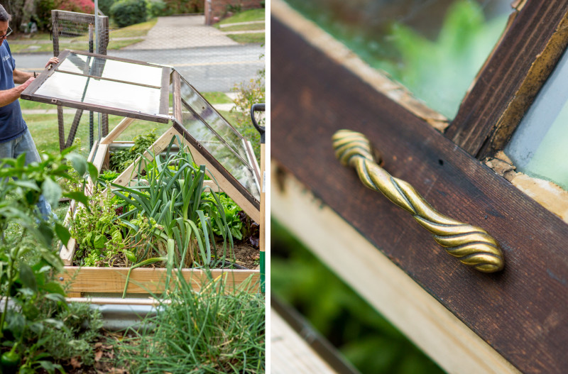 Cold Frame Garden