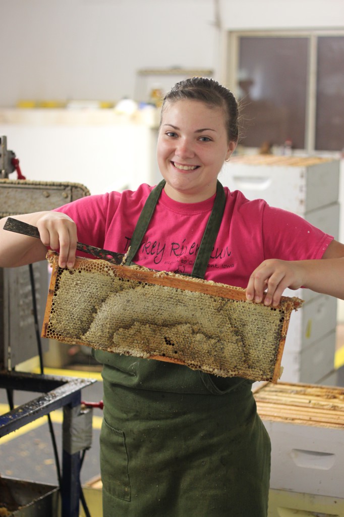 scraping off wax for honey