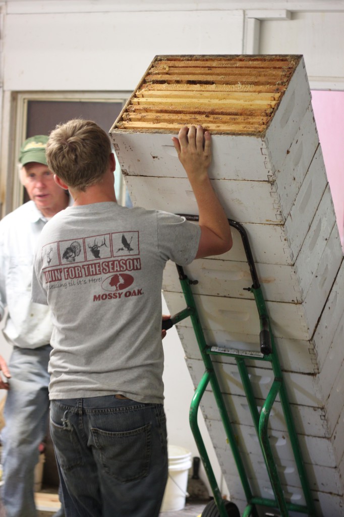 Stacking beehive boxes