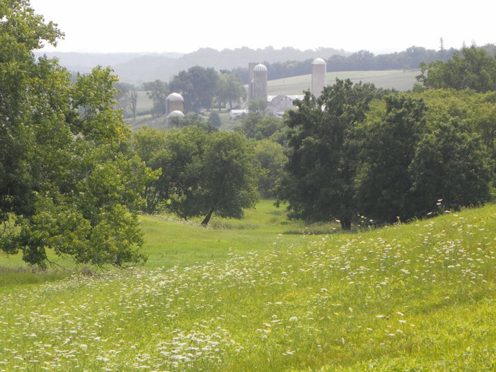 northeast iowa