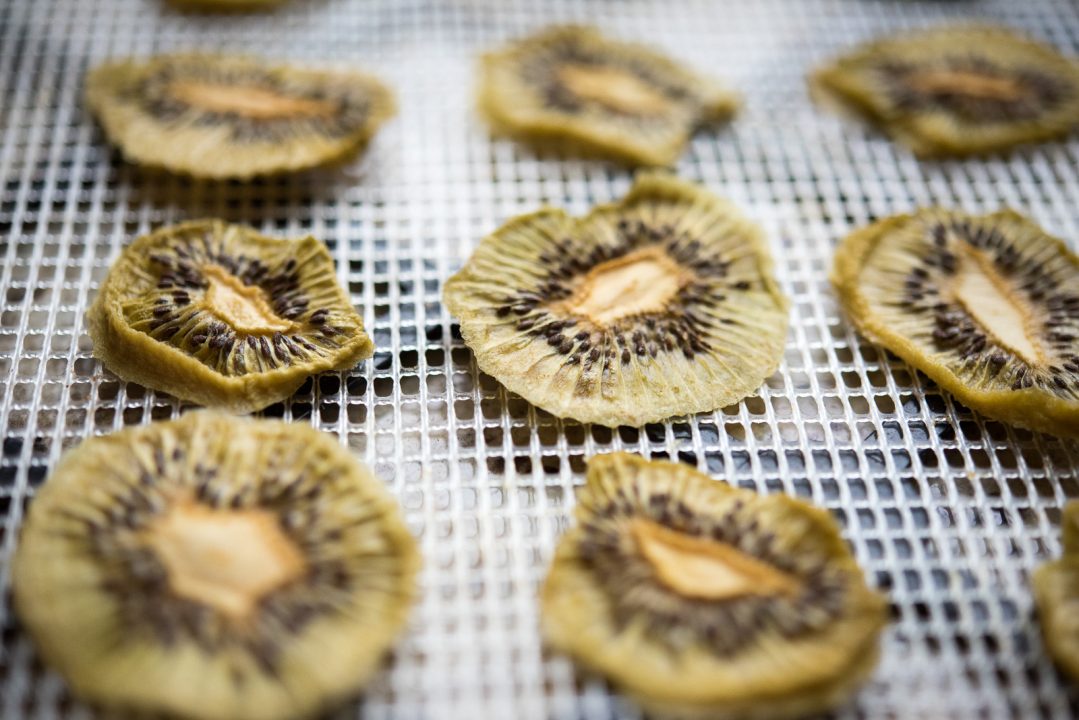Kiwi Chips Paleo | Primal | Recipes