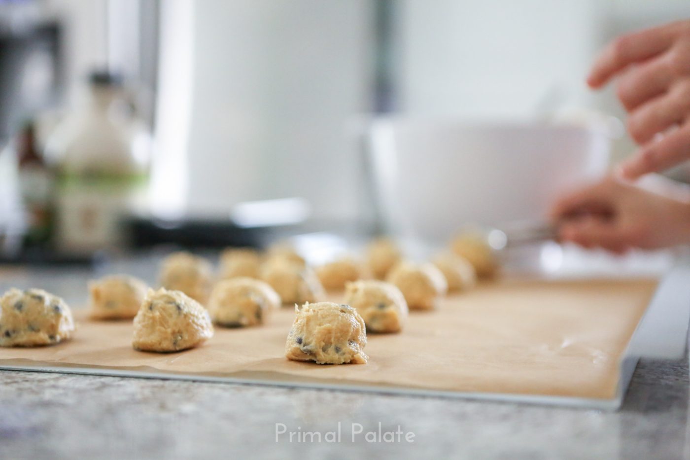 NutFree Chocolate Chip Cookies Primal Palate Paleo Recipes