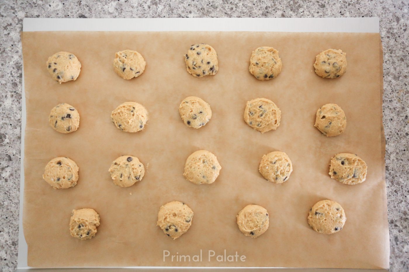 NutFree Chocolate Chip Cookies Primal Palate Paleo Recipes
