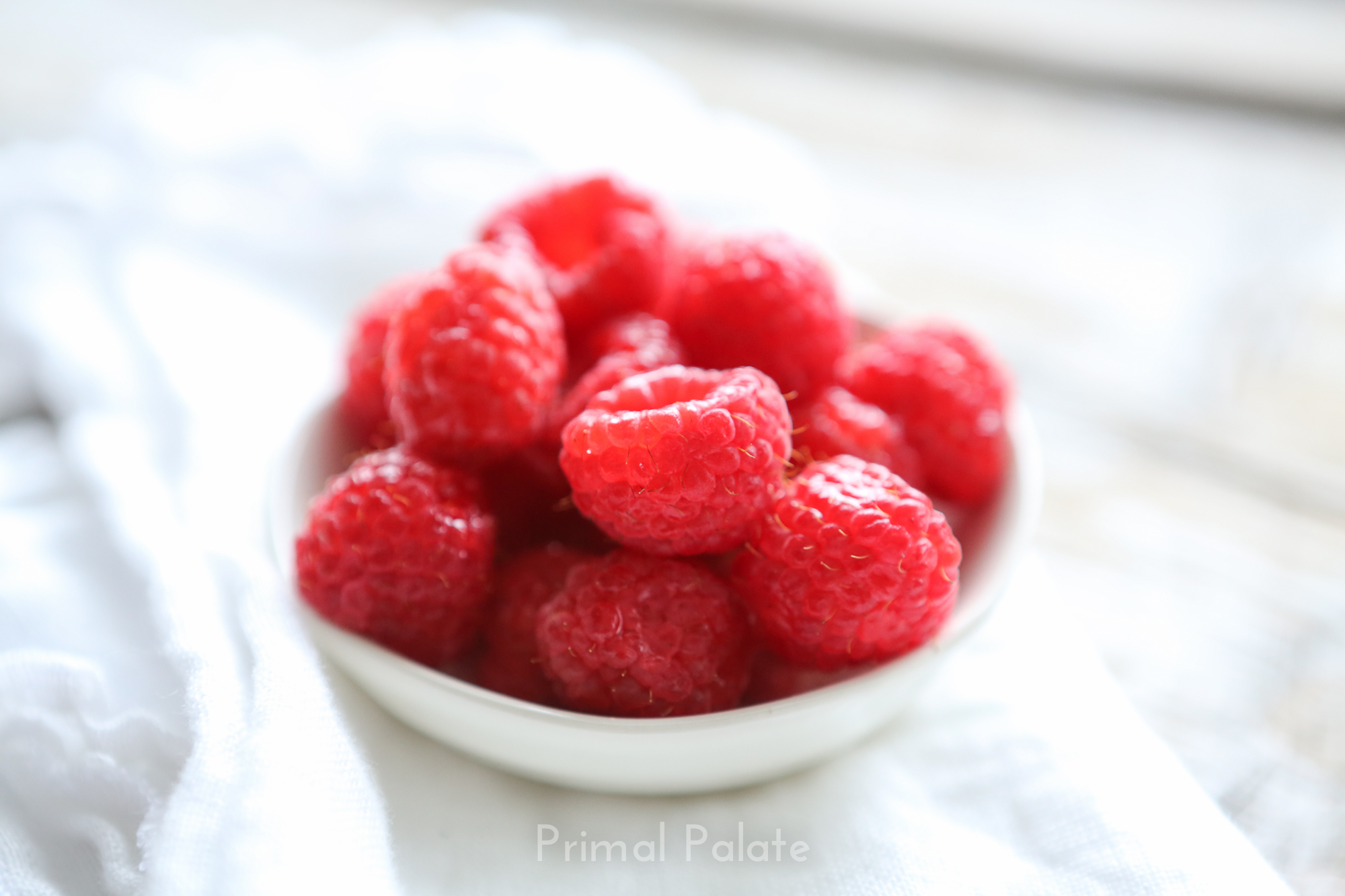 Chia Seed Pudding Candida CleanseFriendly Recipe Primal Palate Paleo Recipes