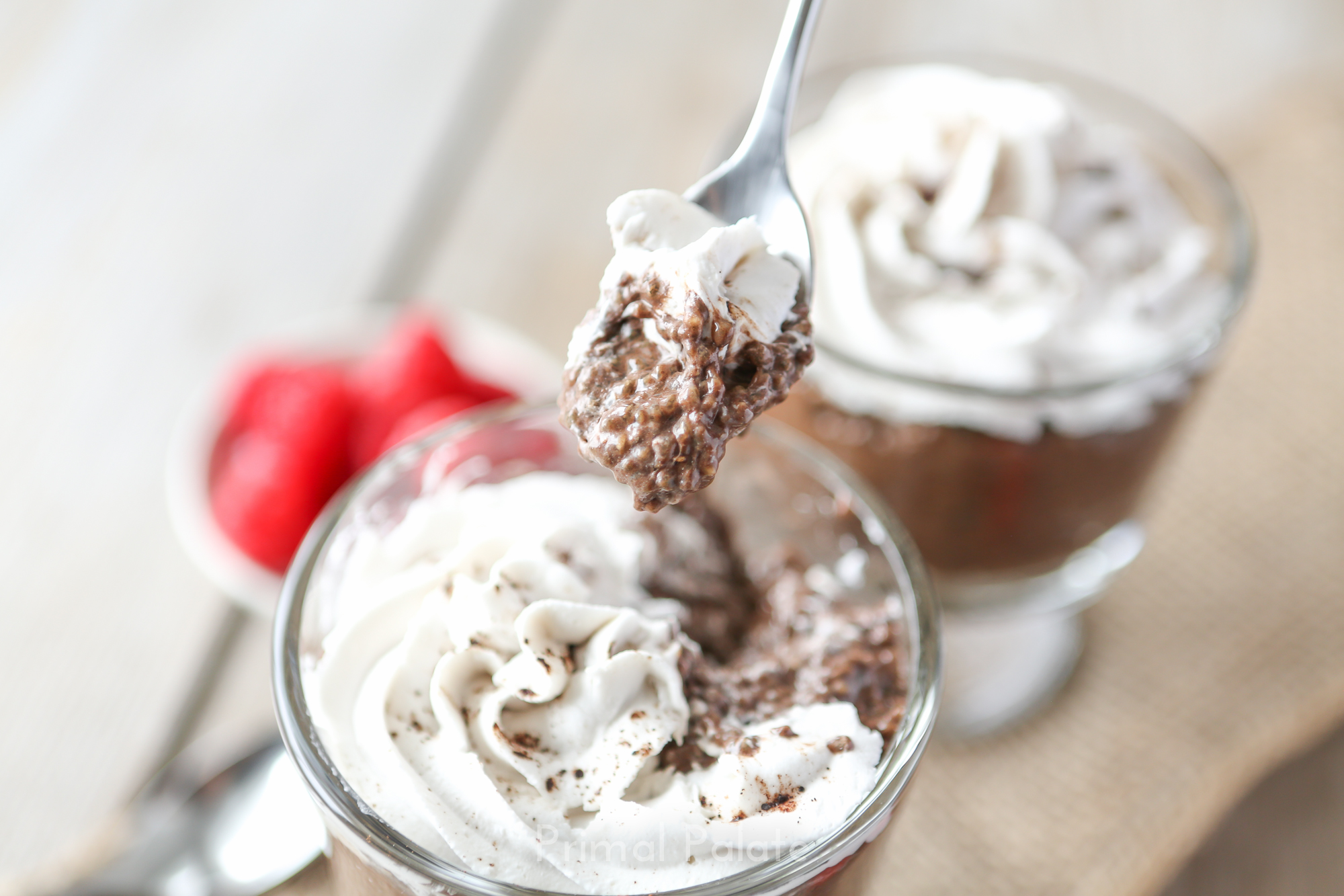 Chia Seed Pudding Candida CleanseFriendly Recipe Primal Palate Paleo Recipes