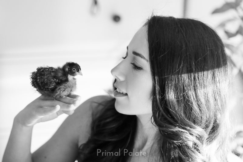 backyard chickens-10