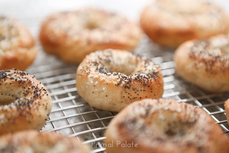 Paleo Grain-free Bagels-3