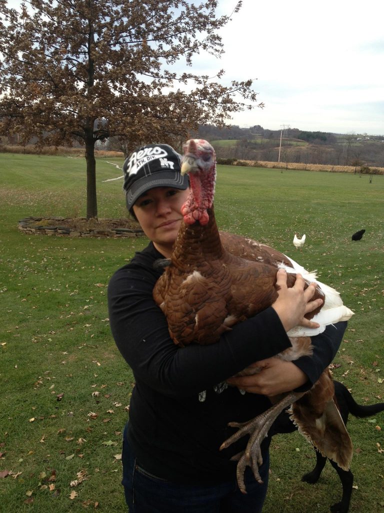 Hayley Ryczek and homesteading