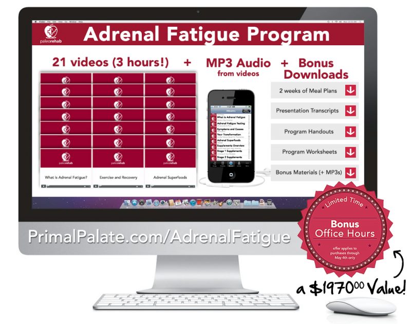 Adrenal Fatigue Program