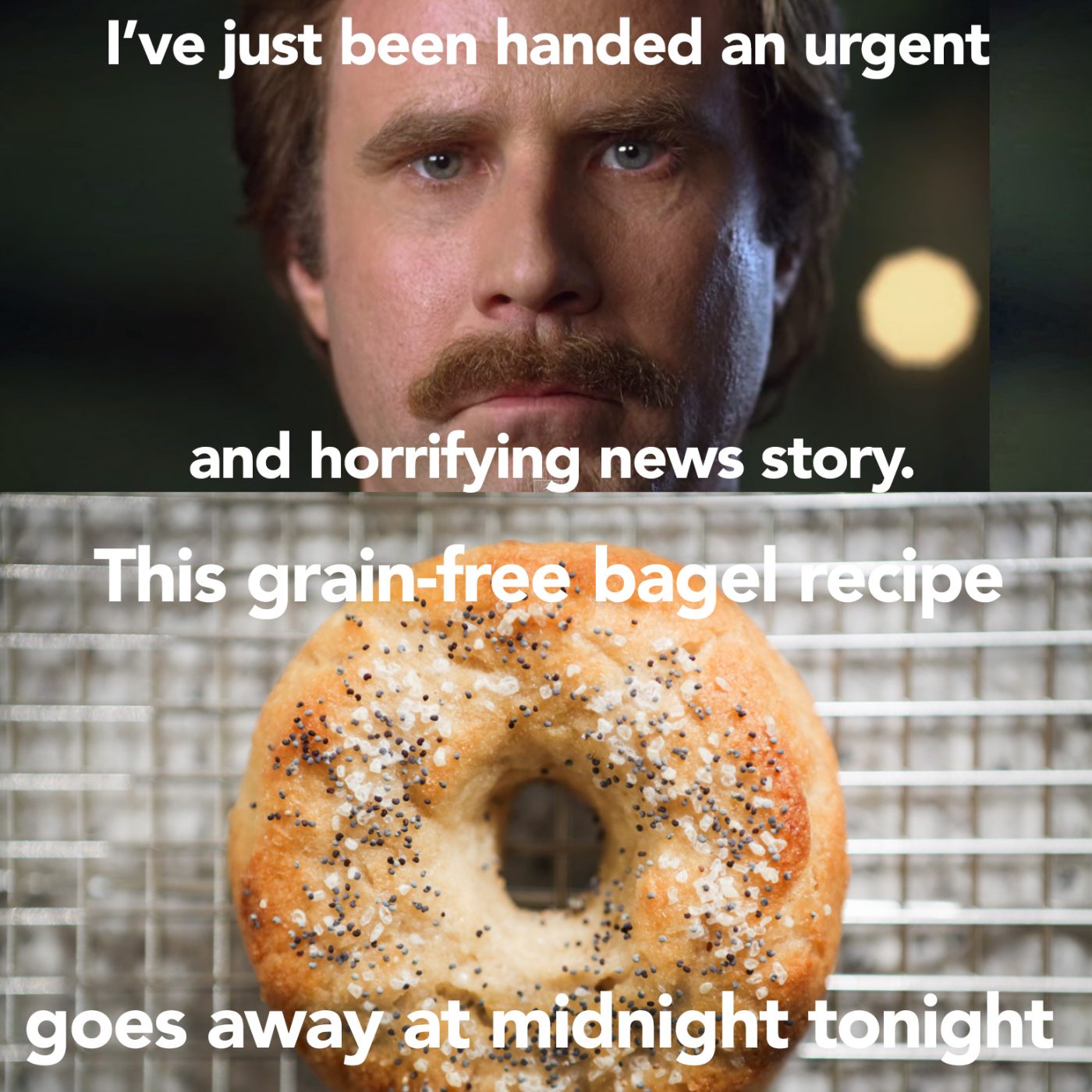 LAST CHANCE for Bagels in 2015 Primal Palate Paleo Recipes