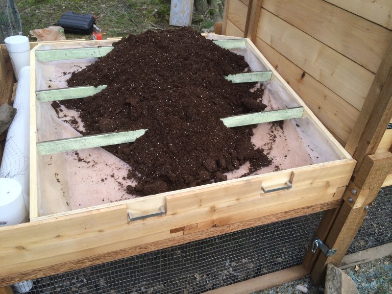 potting soil for green roof