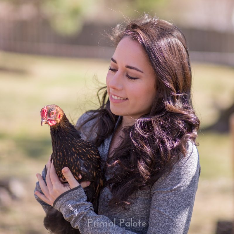 gold laced wyandotte rooster 12 weeks