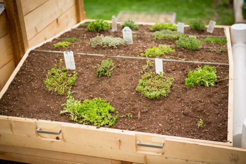 chicken coop green roof