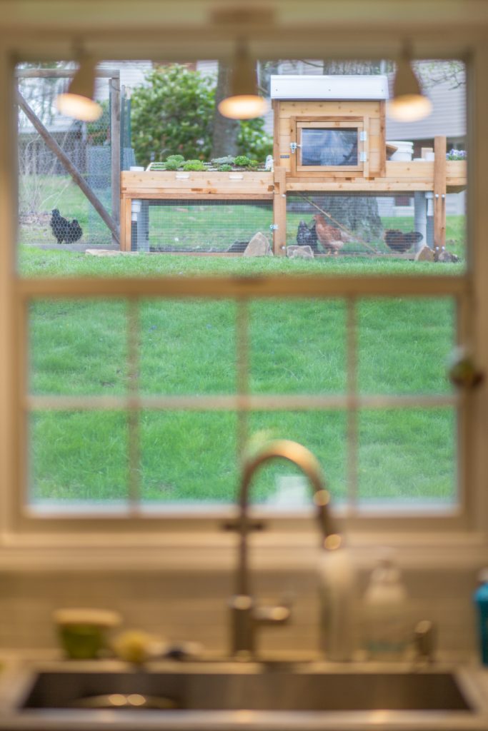 beautifully designed chicken coop and run