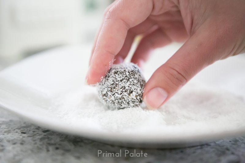 Paleo Protein Balls-9494