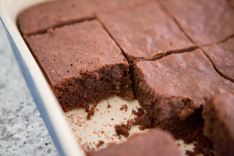 Paleo Nut-free Fudgy Brownies-7