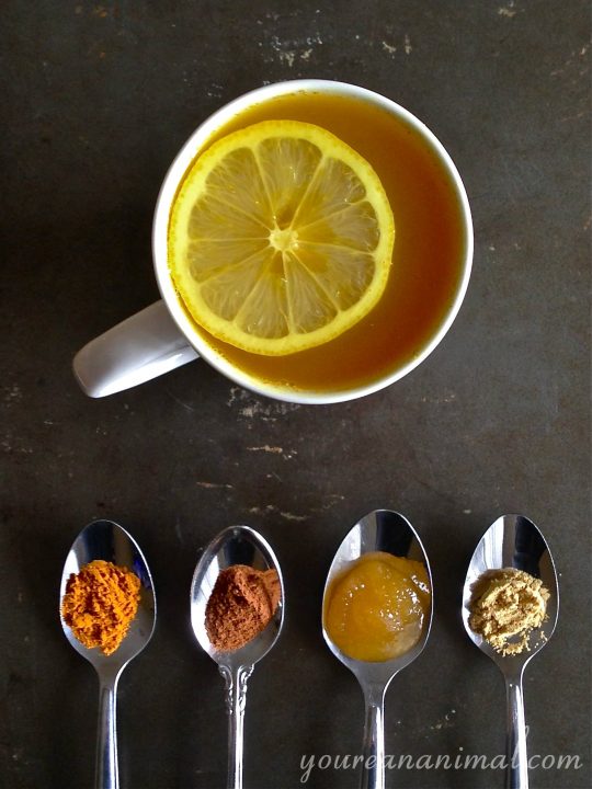 Anti-Inflammatory Turmeric Tea | Primal Palate | Paleo Recipes-image