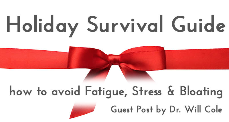 Holiday Survival Guide