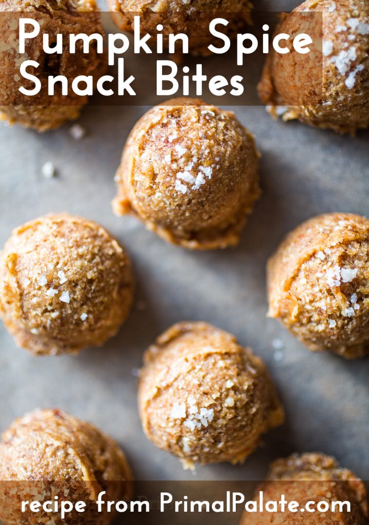 Paleo Pumpkin Spice Snack Bites-pinterest