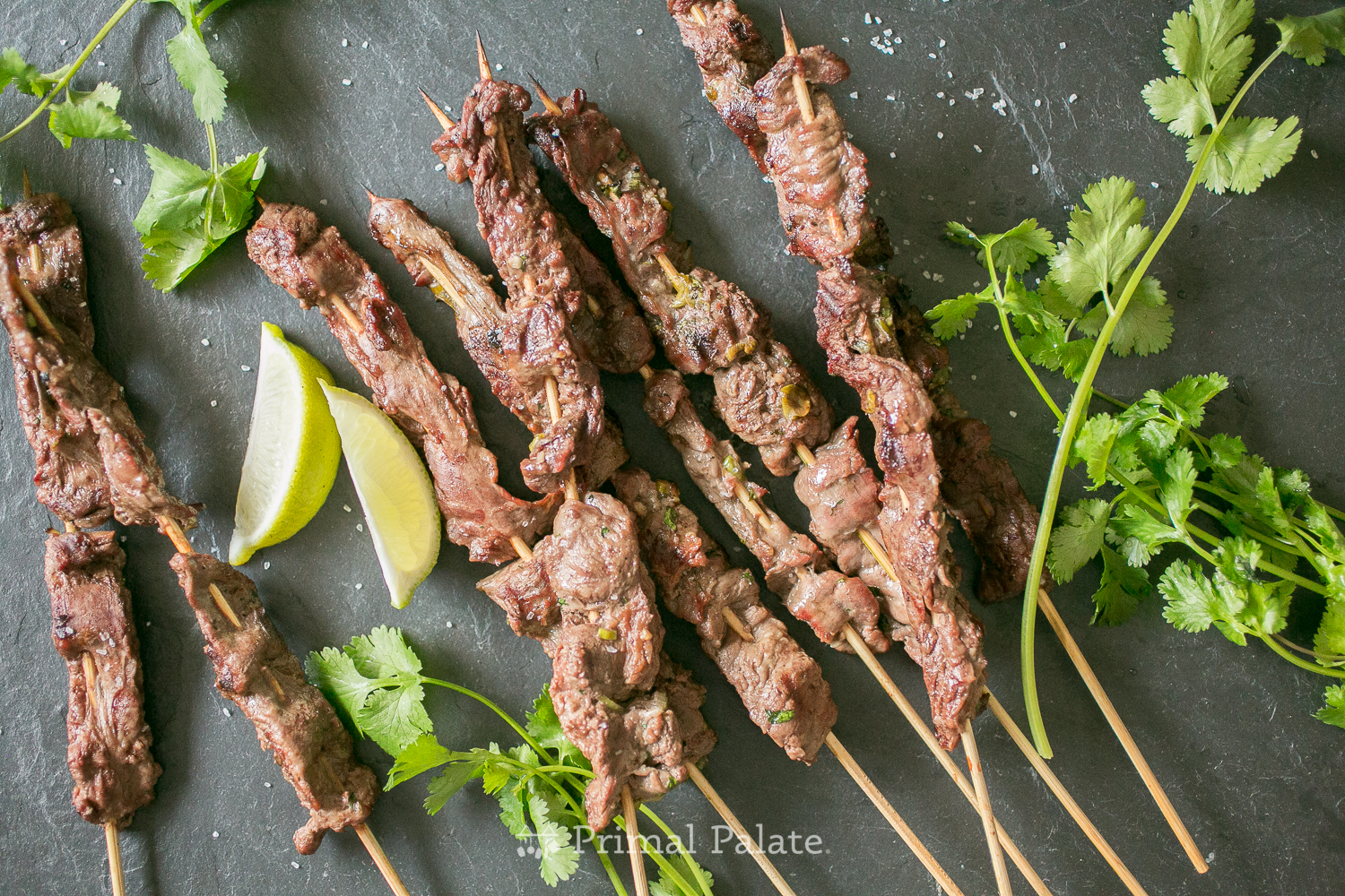 Cilantro Lime Skirt Steak Primal Palate Paleo Recipes