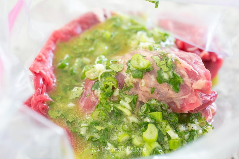 Cilantro Lime Skirt Steak-8