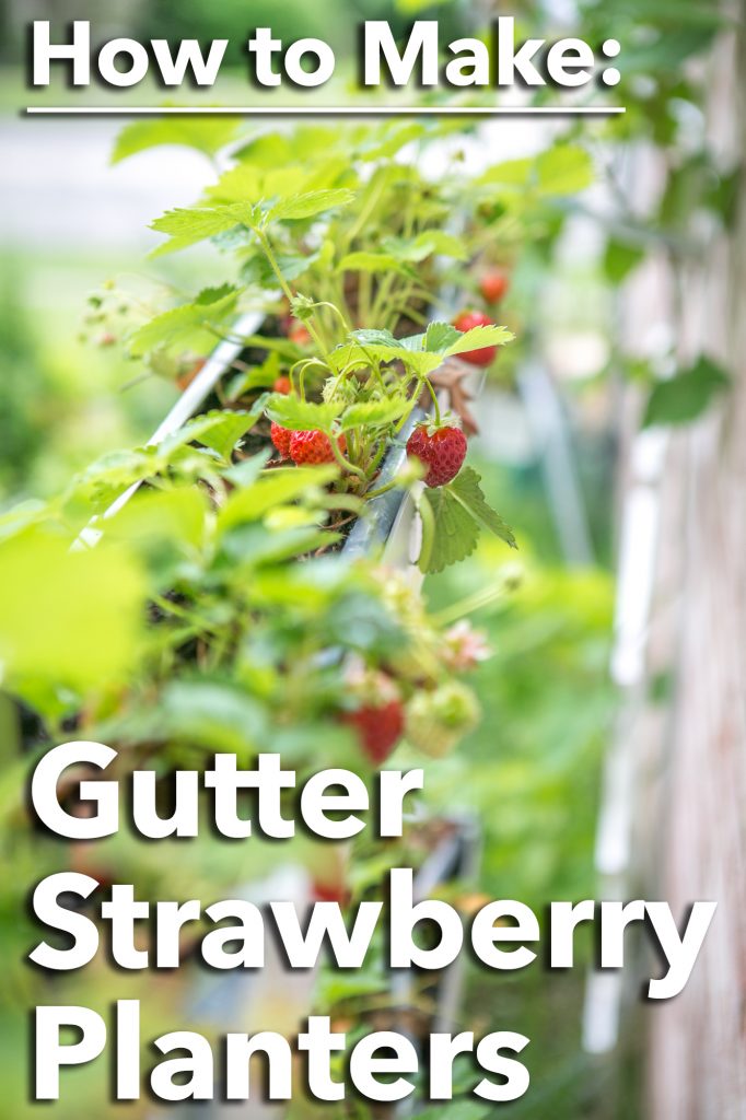 How to make Gutter Strawberry Planters using standard aluminum gutters and basic hand tools - SO COOL!