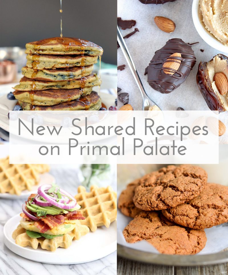 New Shared Recipes