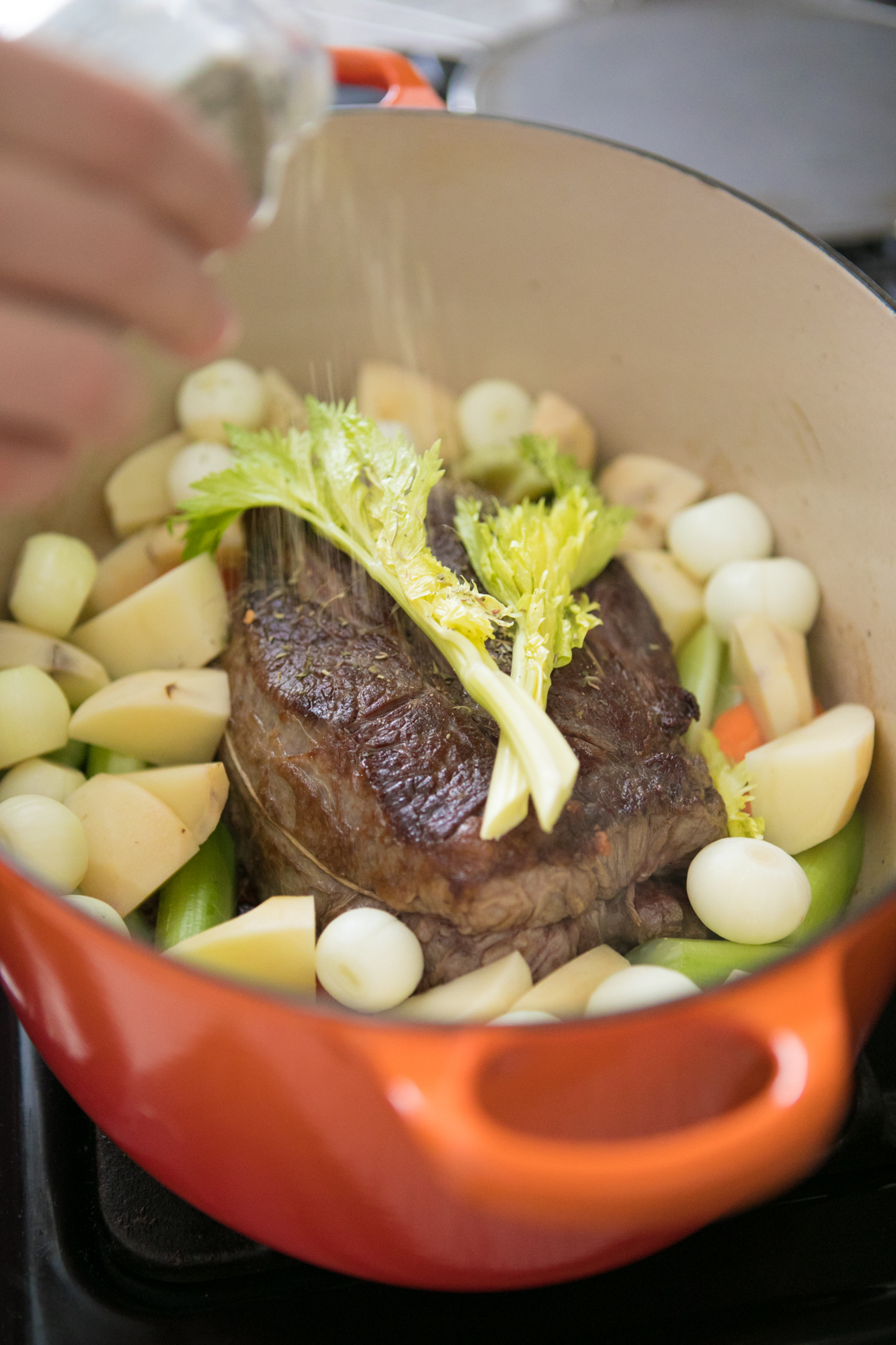 Amore Pot Roast Primal Palate Paleo Recipes