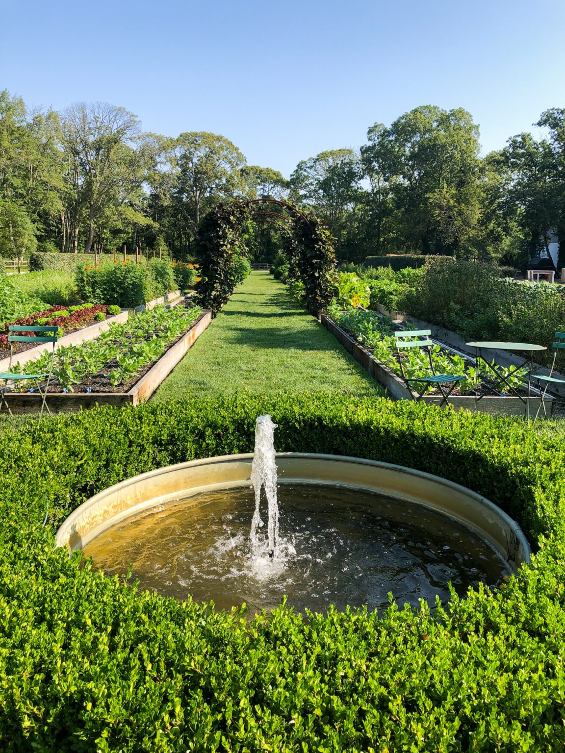 Our morning at Beach Plum Farm in Cape May, NJ Primal Palate Paleo