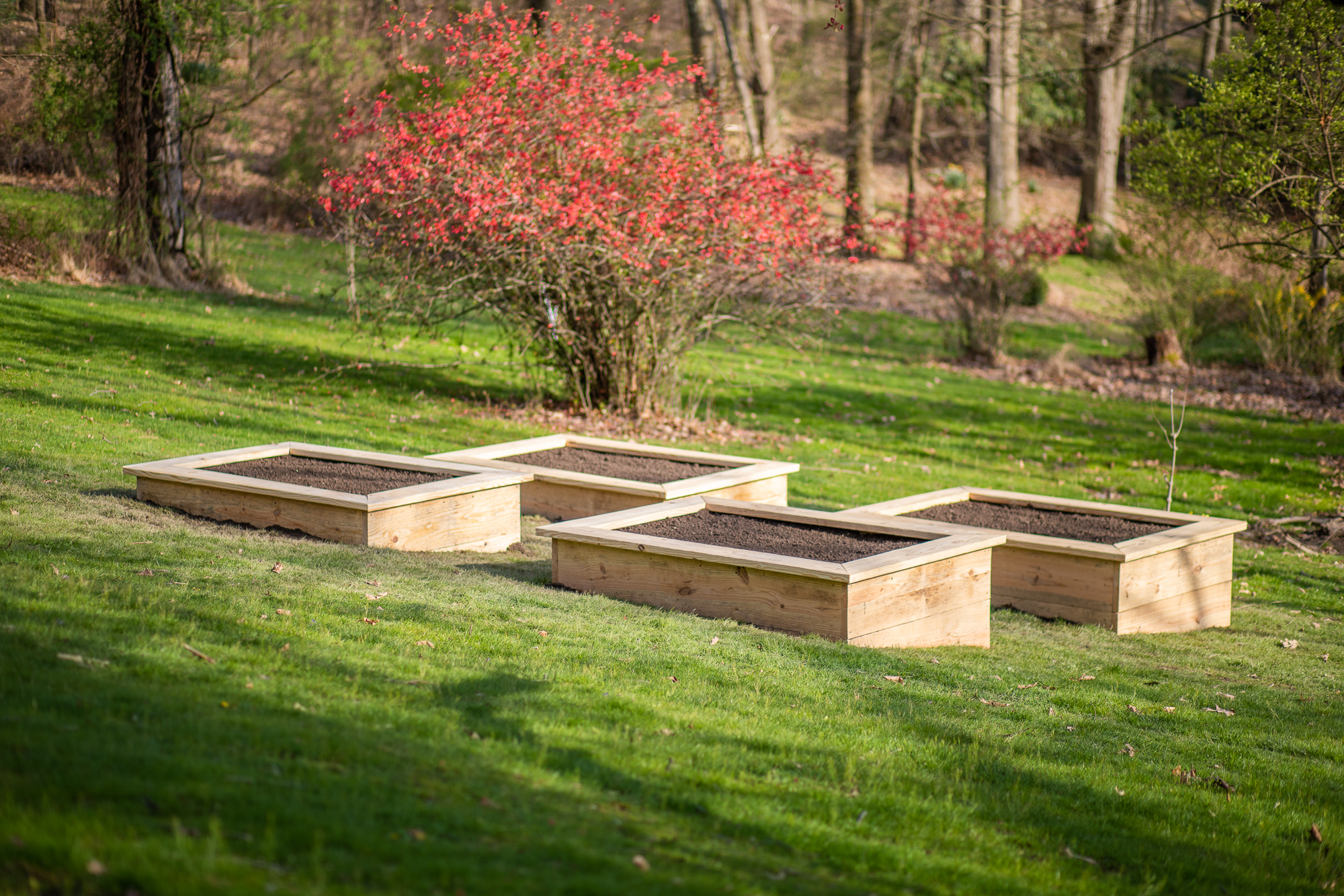 Building Raised Garden Beds