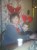 sally0630